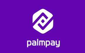 PalmPay Logo