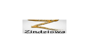 Zindziswa Concept Limited