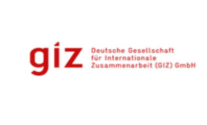 Deutsche Gesellschaft für Internationale Zusammenarbeit (GIZ)