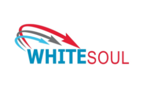 White Soul Investment Limited